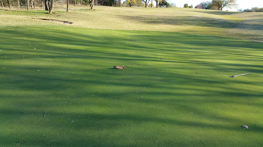 Golf Course «Earlywine Park Golf Course», reviews and photos, 11600 S Portland Ave, Oklahoma City, OK 73170, USA