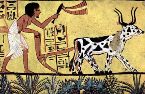 Ancient Egypt Agriculture Facts