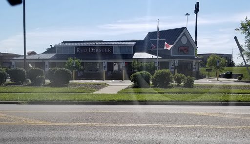 Seafood Restaurant «Red Lobster», reviews and photos, 6500 Miller Ln, Dayton, OH 45414, USA