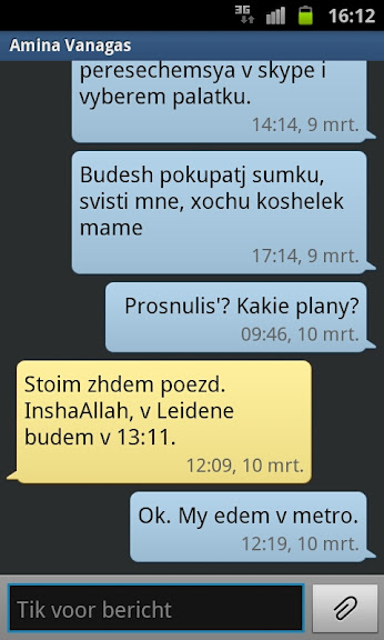 Прогулка по Лайдену 