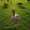 Tommy Clark Tommy Clark's profile photo