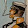 Jose Jeronimo Jose Jeronimo's profile photo