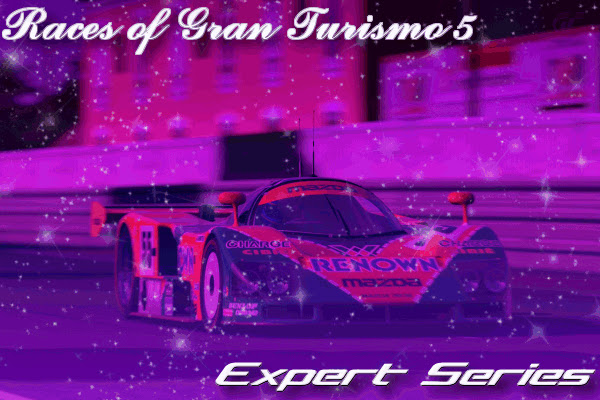 Gran Turismo 5 Expert Series