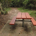 Table at Seymour Pond picnic area (226582)