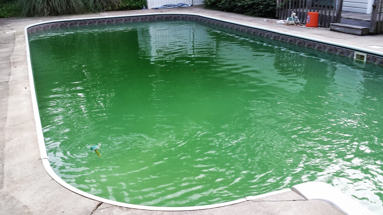 How can you get pollen out of a swimming pool?