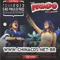 CD Forró Pegado - Rio de Janeiro - RJ - 25.02.2013