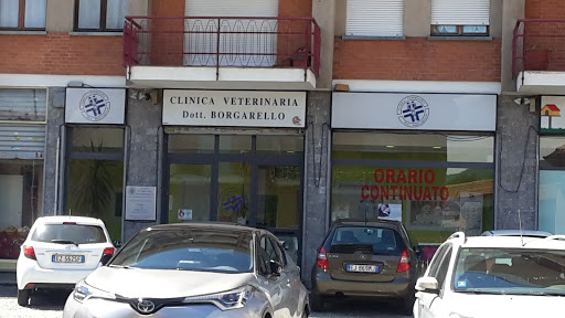 Clinica Veterinaria Borgarello, Str. Genova, 174, 10024 Moncalieri TO,  Italia