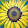 Ann Alexander Ann Alexander's profile photo