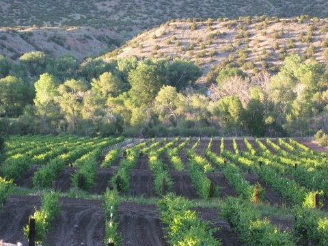 Hauptbild von La Chiripada Winery