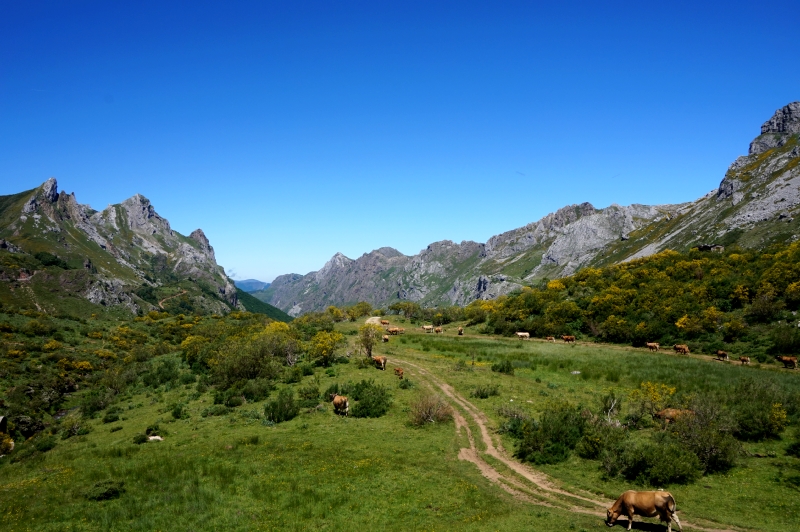 Lago del Valle (PN Somiedo) - Descubriendo Asturias (12)