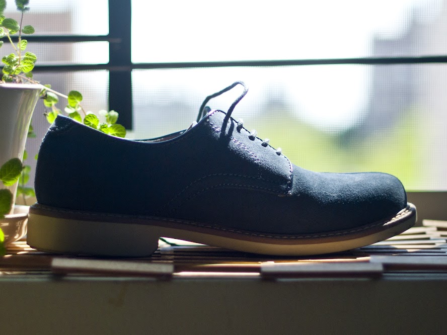 A tree shoe grows stares out a window in Brooklyn. The denim-blue “Brockton” by Bass