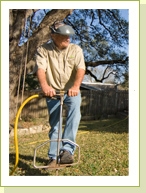 tree fertilizing for Austin, Texas