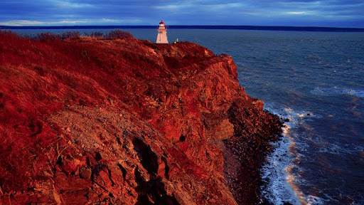 Cape Enrage Lighthouse,  Bay of Fundy, New Brunswick, Canada.jpg
