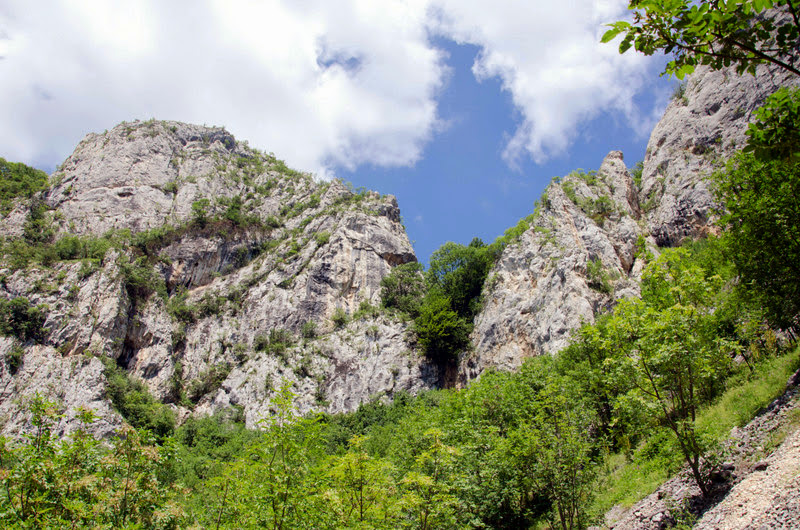 Zona calcaroasa in M-tii Trascau