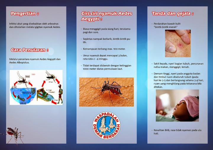 Promkes – Demam Berdarah Dengue – RSU "KATOLIK BUDI RAHAYU 