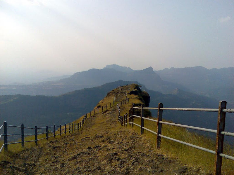 Posted Image