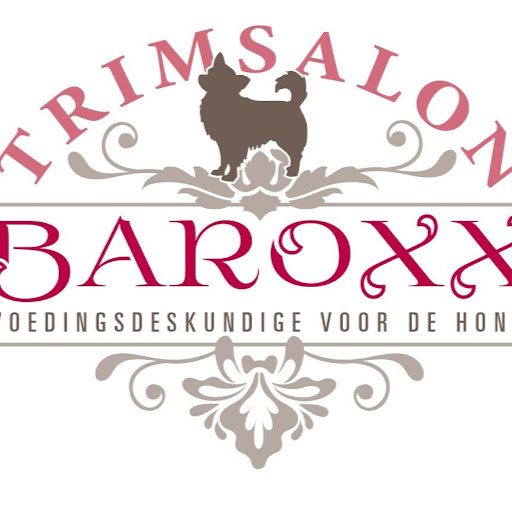 Trimsalon Baroxx logo