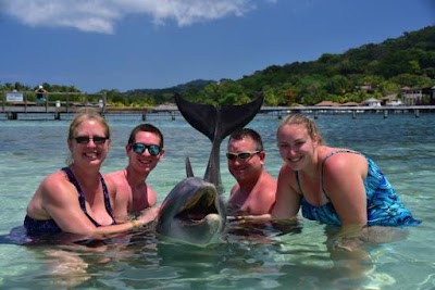Photos of Dolphin Encounter