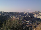 IMG_20120811_181310.jpg