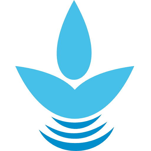 Birlik Saf Su logo