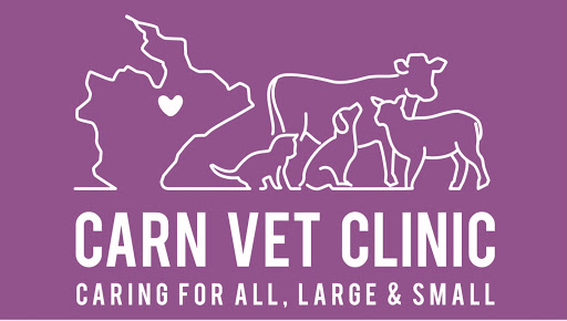 Carn Vet Clinic logo