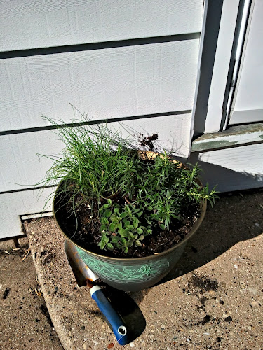 2012-04-04_16-03-24_HDR.jpg 2herb planting, phase 1: chives, rosemary, oregano