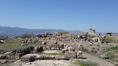 Photos of דגי דפנה