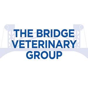 Bridge Veterinary Group - Billingham
