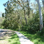 Following the Great North Walk Next to Waratah  Avenue  (337144)