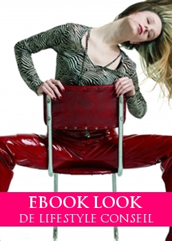 Ebook Look De Lifestyle Conseil