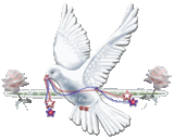 El Señor nos ha revelado -en nuestra Comunidad - que las Oraciones de Corte son muy eficaces (Rezarlas frecuentemente).