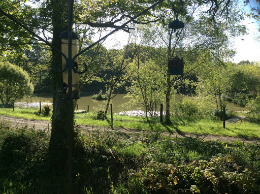 Legge Farm