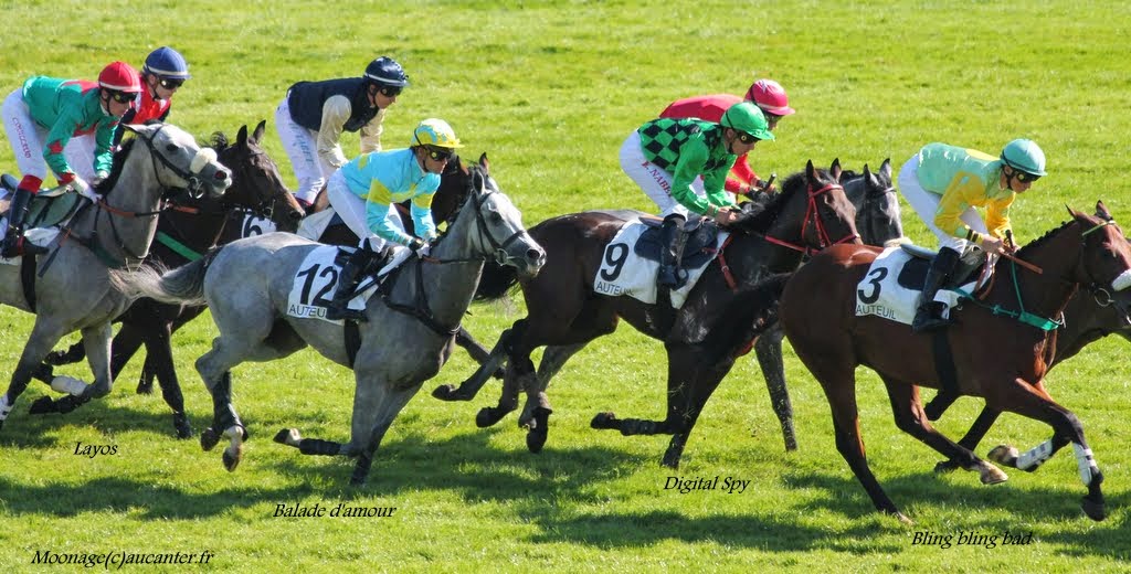 Photos Auteuil le 27-09-2014 IMG_4206