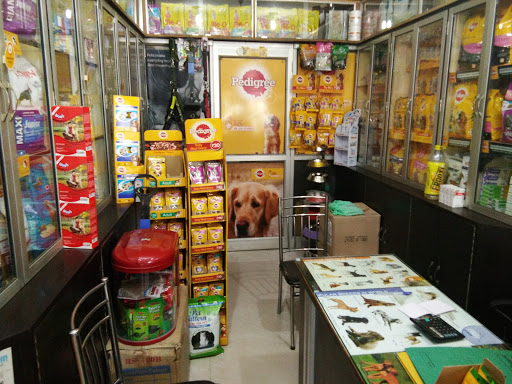 Alfa Pet Care, Shop No. 47 MDA Shoping Complex, Stadium Rd, Phase I, Ram Ganga Vihar, Moradabad, Uttar Pradesh 244001, India, Pet_Care_Store, state UP