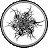 Daniel J Brinker avatar image