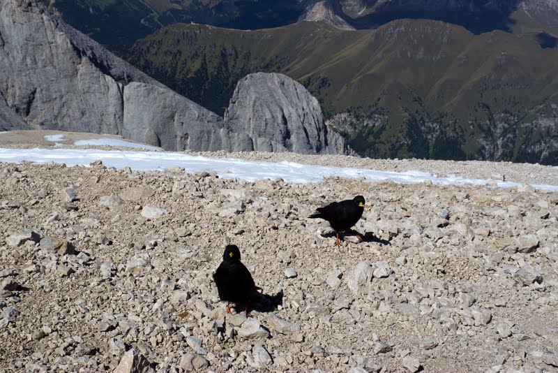 Доломиты. Восхождение на Мармоладу, Punta Penia (3,343 m), спуск по феррате