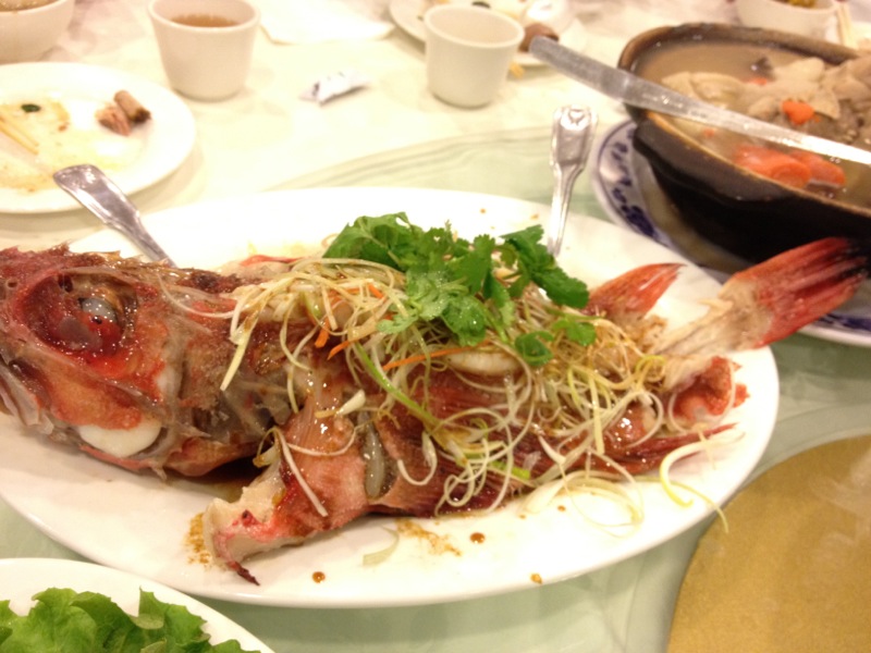 IMAGE_E26BFD80-6AB0-49EB-9D6D-1D756A790BB0.JPG