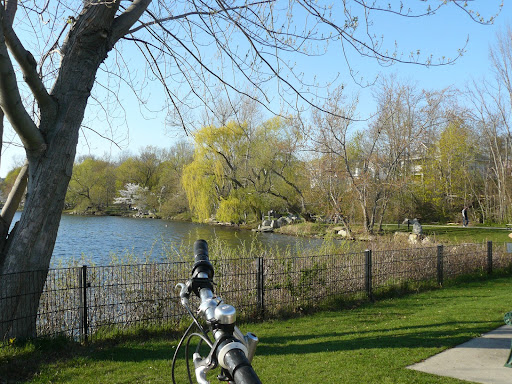 Park «Spy Pond Park», reviews and photos, Pond Lane, Arlington, MA 02474, USA