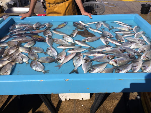 Marché aux poissons