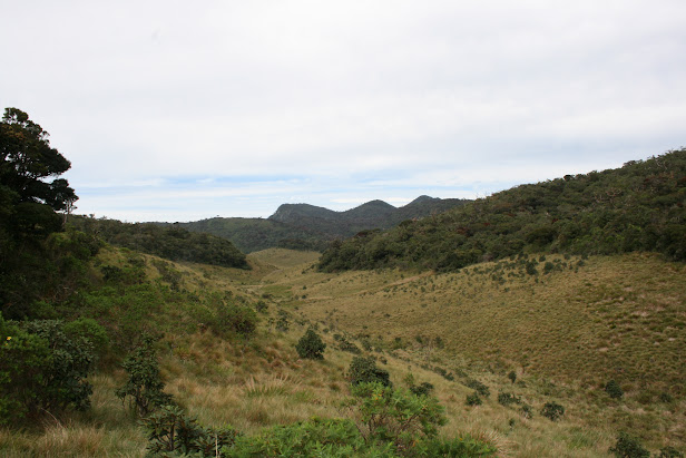 Sri Lankа - сейчас. Много фото пляжей. Sri Lankа - сейчас. Много фото пляжей.