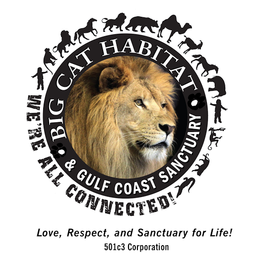 Big Cat Habitat Gulf Coast Sanctuary logo
