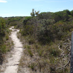 Light to Light Track in the heath south of Hegartys Bay (106456)