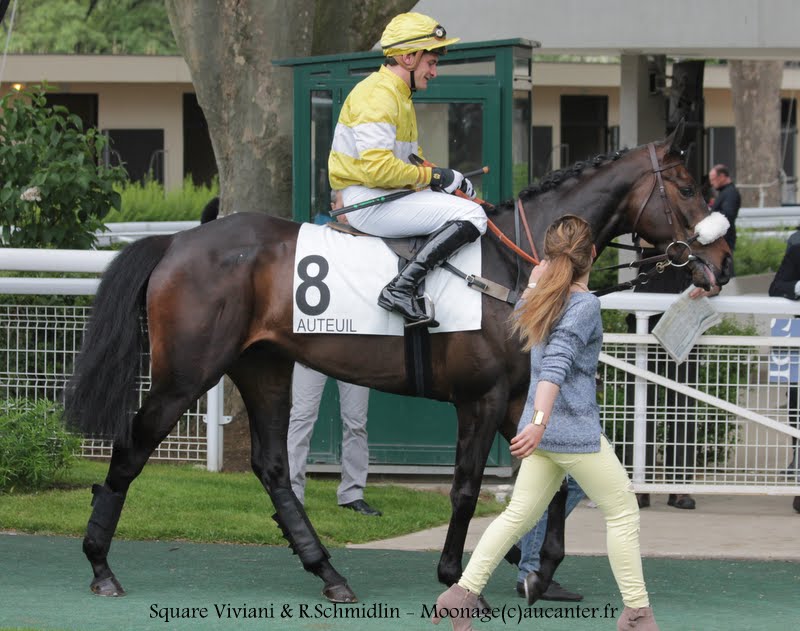 Photos Auteuil 16-05-2015 Week-end printanier de l'obstacle  IMG_9528