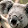 Frank Vargus Frank Vargus's profile photo