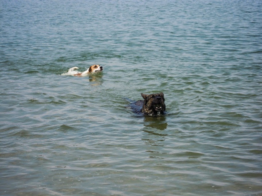DSCN6338.JPG