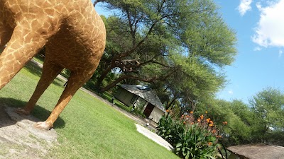Photos of Camping Area (Sarasungu River Lodge)