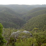 View into the Grose Valley from Fortress Ridge lookout (41115)