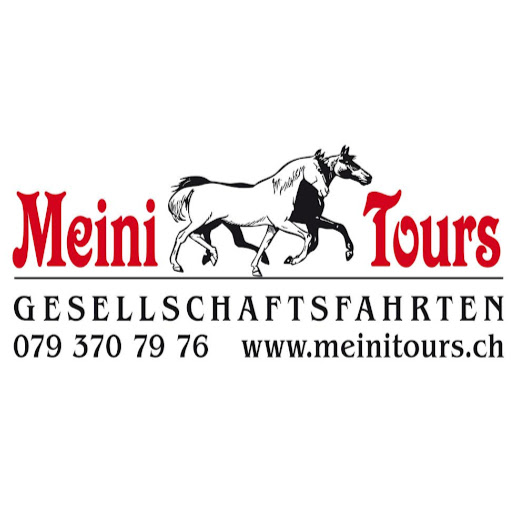 Meini-Tours Gesellschaftsfahrten logo