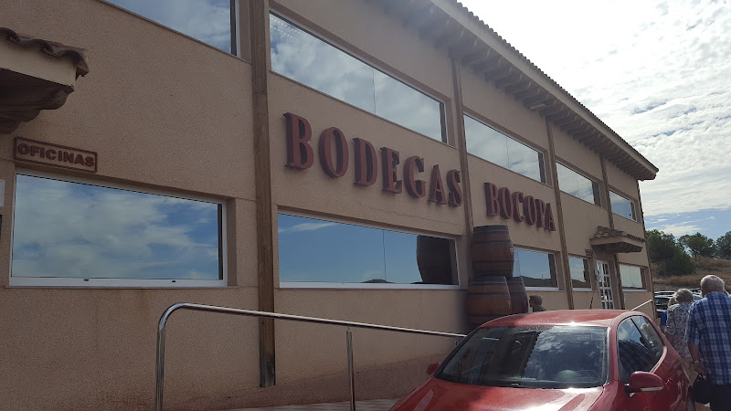 Immagine principale di Bodegas Bocopa
