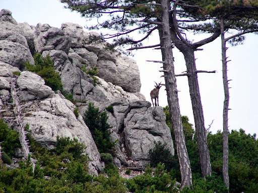 senderismo: Mont Caro por el barranco de Lloret